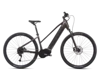 Crussis one cross low 7 11 01