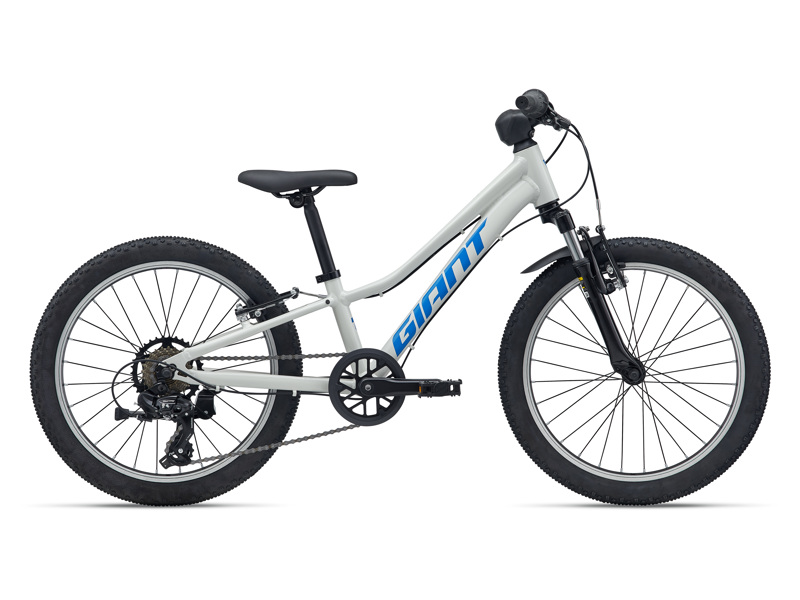 Giant Talon 20