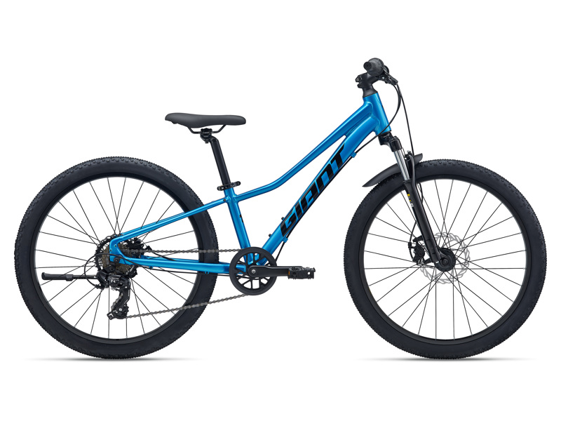 Giant Talon 24 Disc