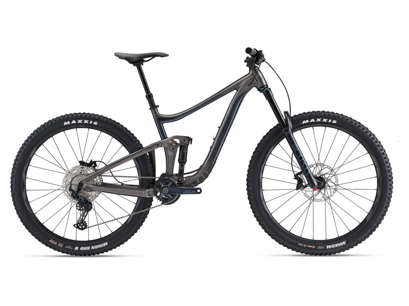 Giant Reign 29