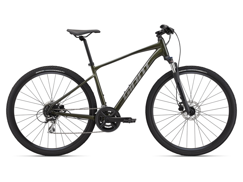 Giant Roam Disc 3