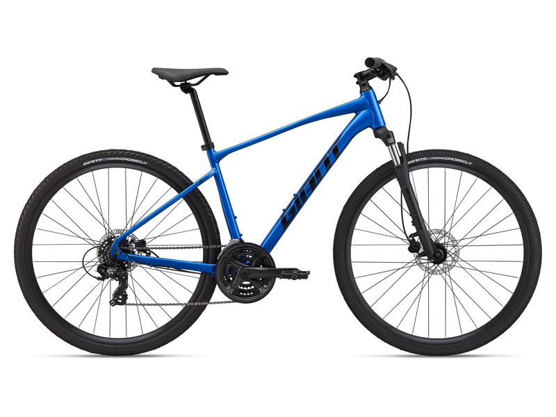 Giant Roam Disc 4