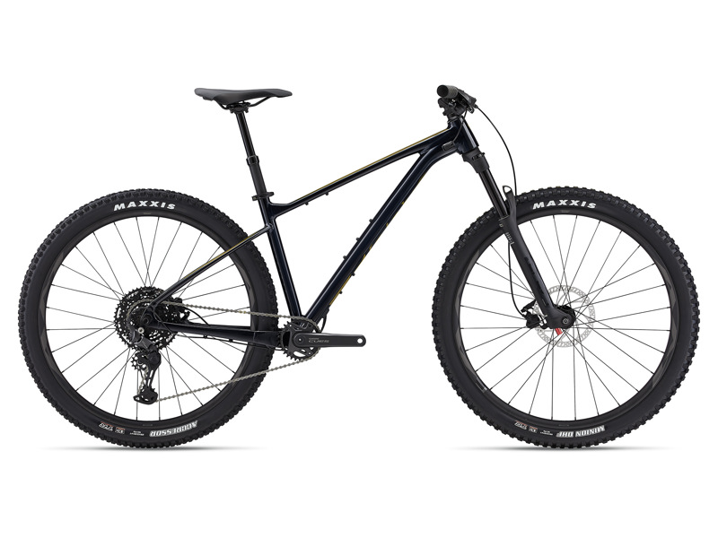 Giant Fathom 29 2