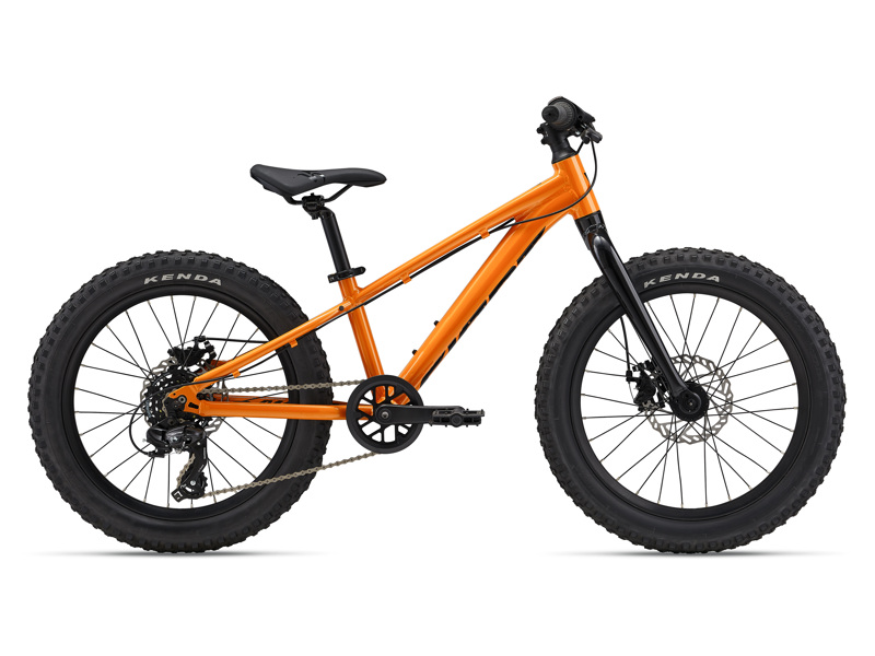 Giant STP 20