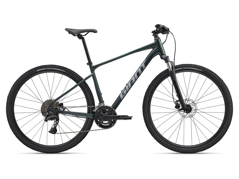 Giant Roam 2