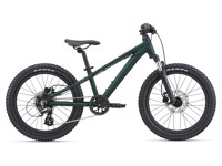 Giant MY21 STP 20 FS Giant Color A Trekking Green