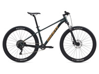 Giant MY25Talon292 ColorAAsphaltGreen