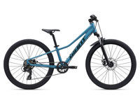 Giant Talon 24 Disc 2027 10701 MY27Talon24Disc ColorAAquarium Giant Talon 24 Disc 2027 10701 MY27Talon24Disc ColorAAquarium