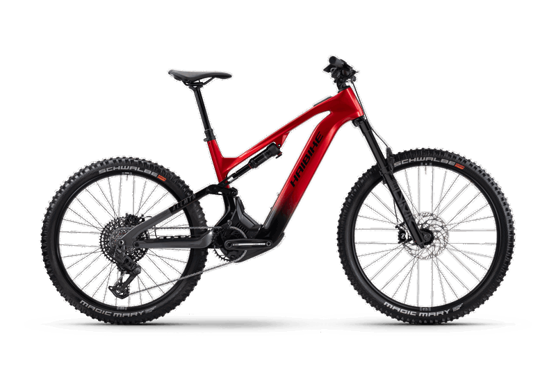 Haibike ALLMTN CF 9