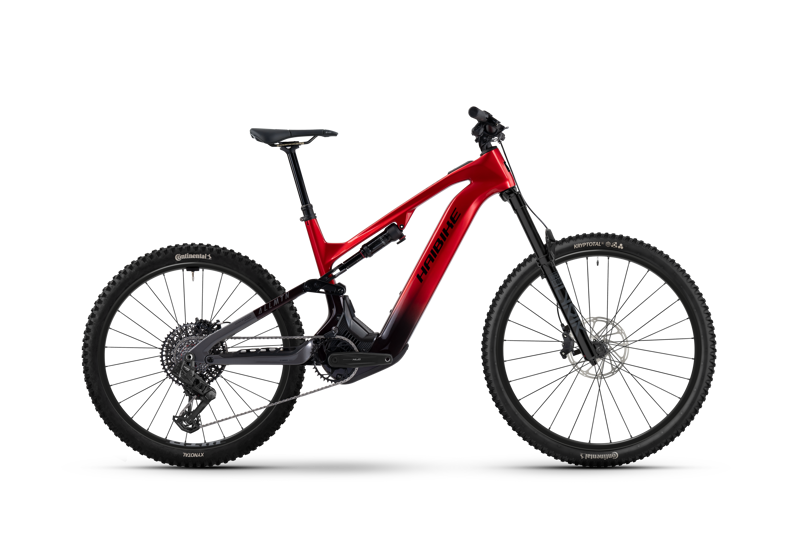 Haibike ALLMTN CF 9