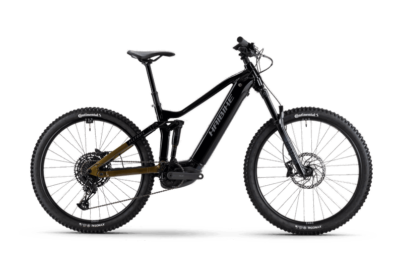 Haibike ALLTRAIL 10