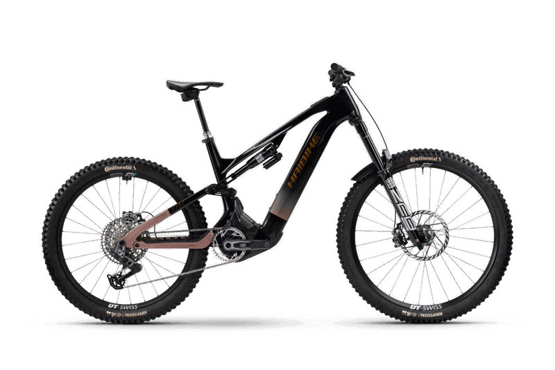 Haibike HYBE CF 11