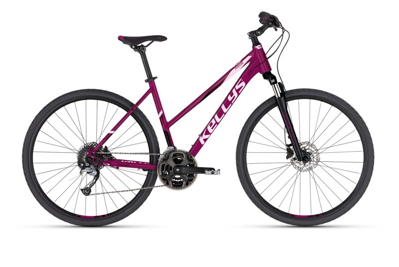 Kellys Pheebe 10 Raspberry