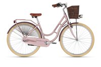 Kellys Arwen Dutch Rose Gold 2026 6496 11017 83066 kellystore 26 arwen dutch rose gold tv