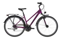 Kellys Cristy 40 2025 6492 9837 71246 cristy 40