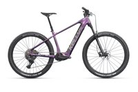 Kellys Tygon Ax70 Aurora Borealis 29 800 Wh 2027 10328 11219 88214 kellystore 27 tygon ax70 aurora borealis tv