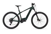 Kellys Tygon Rs10 P Pine Forest 29 820 Wh 2026 10338 11211 88509 kellystore 26 tygon rs10 pine forest tv