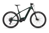 Kellys Tygon Rs50 P Pine Forest 29 820 Wh 2026 10332 11205 88574 kellystore 26 tygon rs50 pine forest tv