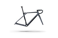 Lapierre Xelius DRS Frameset 2026 8901 70904aef1a3d34869dda539a5fbffc75