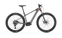 Mondraker 2fa9e5390f8d4e08a35e8e9683934704