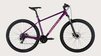 Norco my22 storm 5 29 ultra violet main full 001