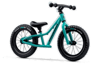 Propain BAM BAM 2022 7311 PROPAIN Bam Bam badmint MY2022 Front transparent