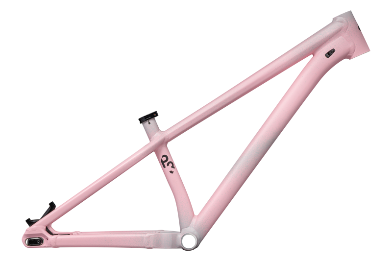 Specialized P.3 Frame