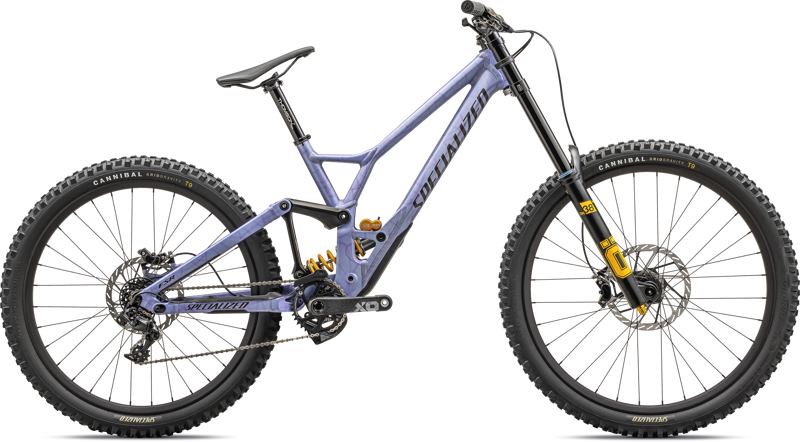 Specialized Demo Race