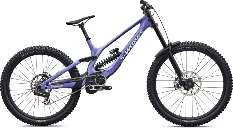 Specialized S-Works Demo 11