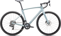 Specialized 94425 31 ROUBAIX EXPERT VLTPRL SILDST HERO