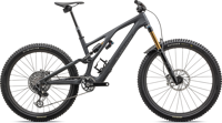 Specialized 96324 00 SJ EVO SW SMK CLGRY EGRN HERO