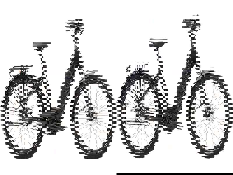 Trek District+ 4 Coaster Belt Lowstep