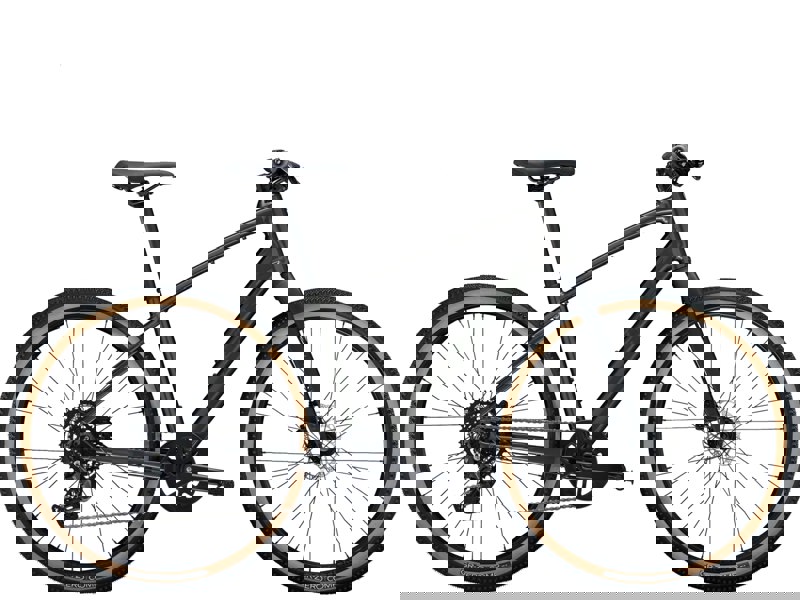 Trek Dual Sport 2 Gen 5