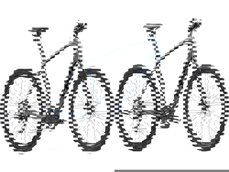 Trek Dual Sport+ 2 LT