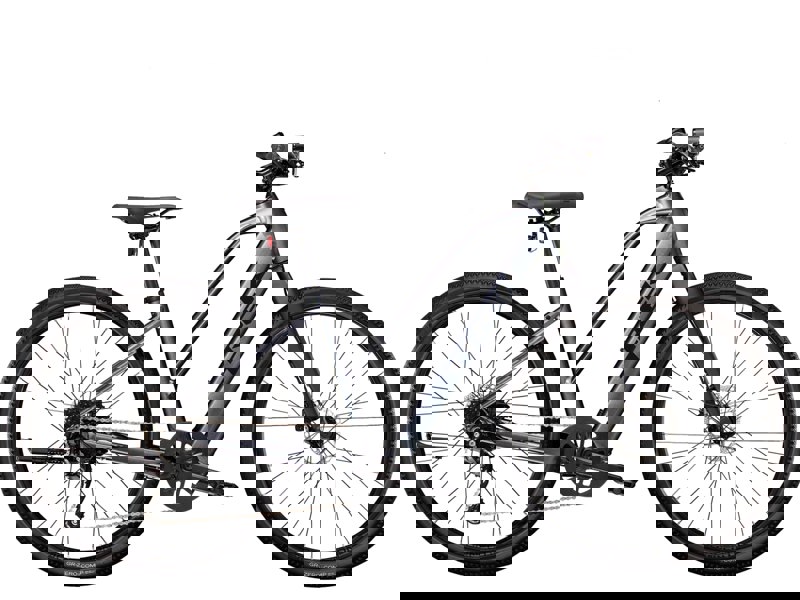 Trek Dual Sport+ 2 Stagger
