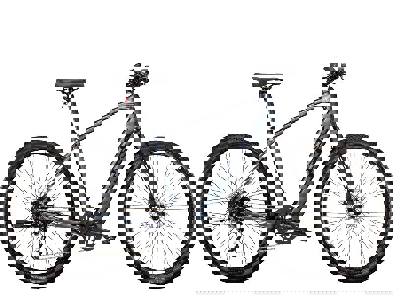 Trek Dual Sport+ 2
