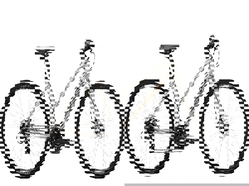 Trek FX 1 Disc Stagger Gen 3
