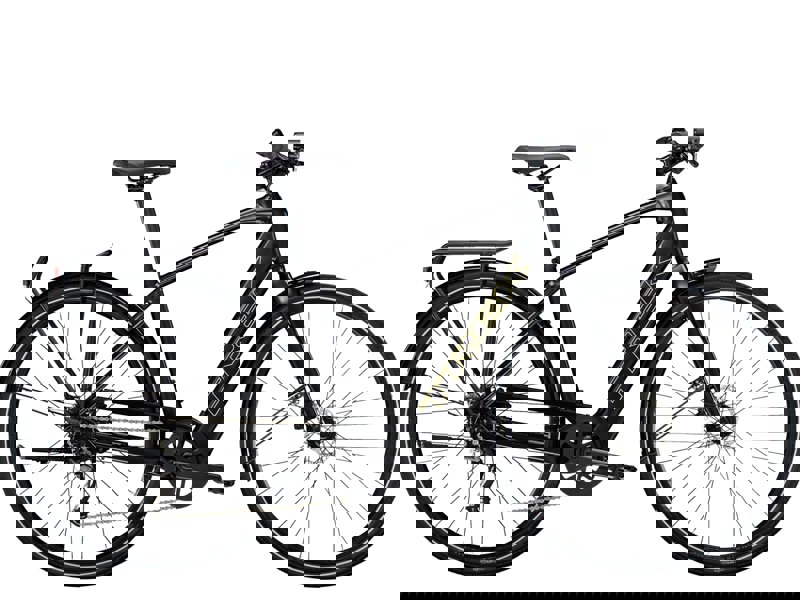 Trek FX+ 2