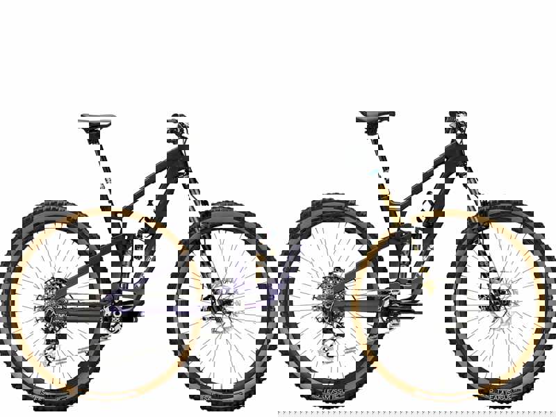 Trek Fuel EX 9.9 XX AXS T-Type Gen 6