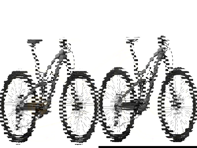 Trek Fuel EXe 9.5