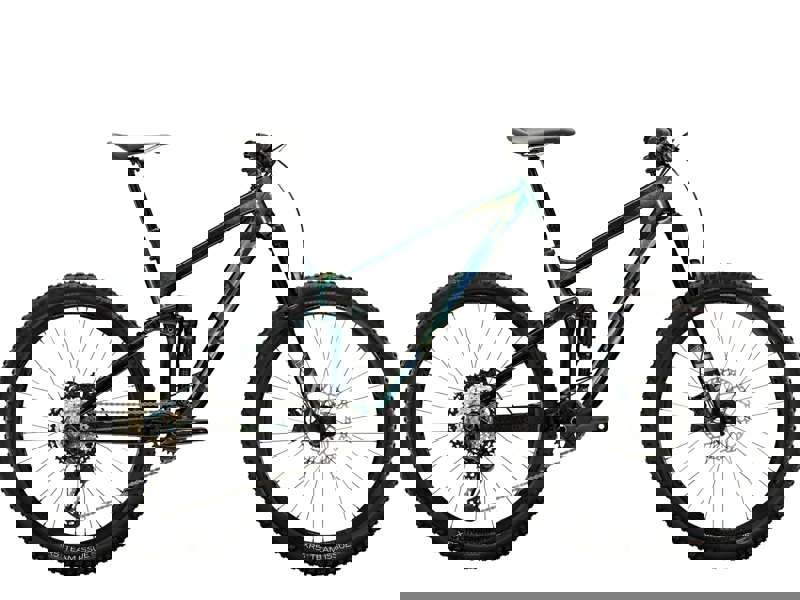 Trek Remedy 8