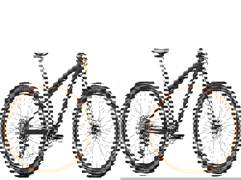 Trek Supercaliber SLR 9.9 XX AXS Gen 2