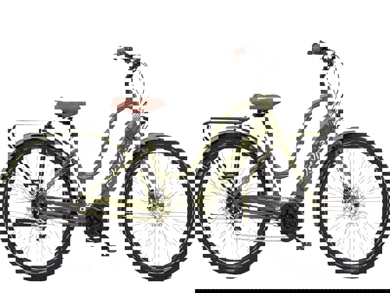 Trek Townie Path Go! 5i Step-Thru