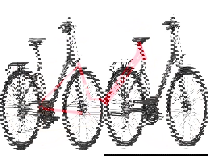 Trek Verve 2 Equipped Lowstep 2021