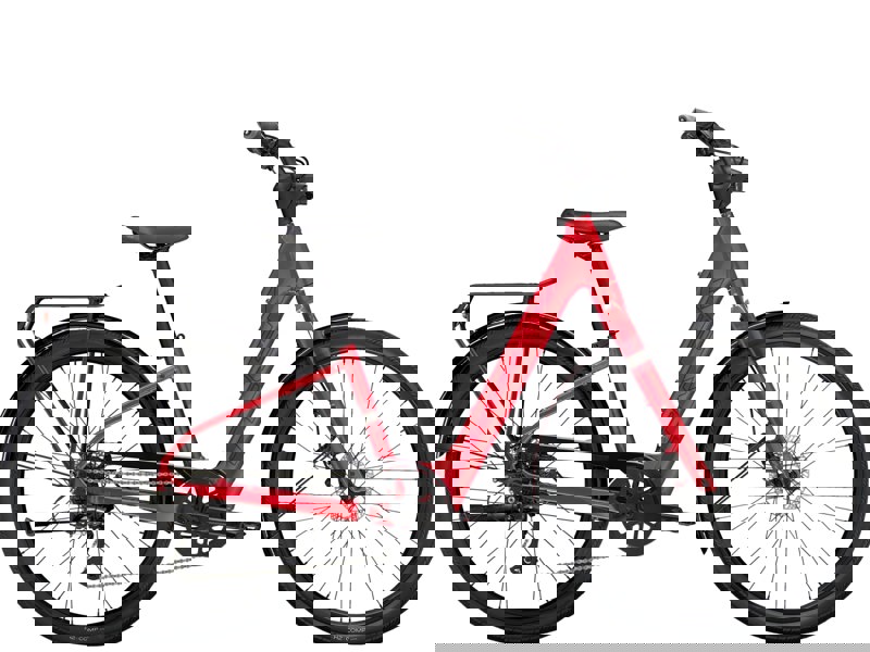 Trek Verve+ 1 LT Lowstep