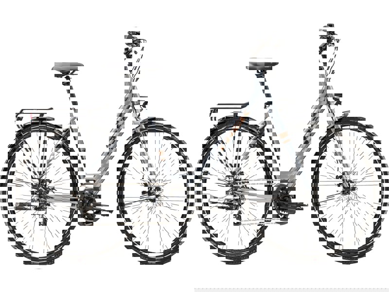 Trek Verve 1 Equipped Lowstep 2023