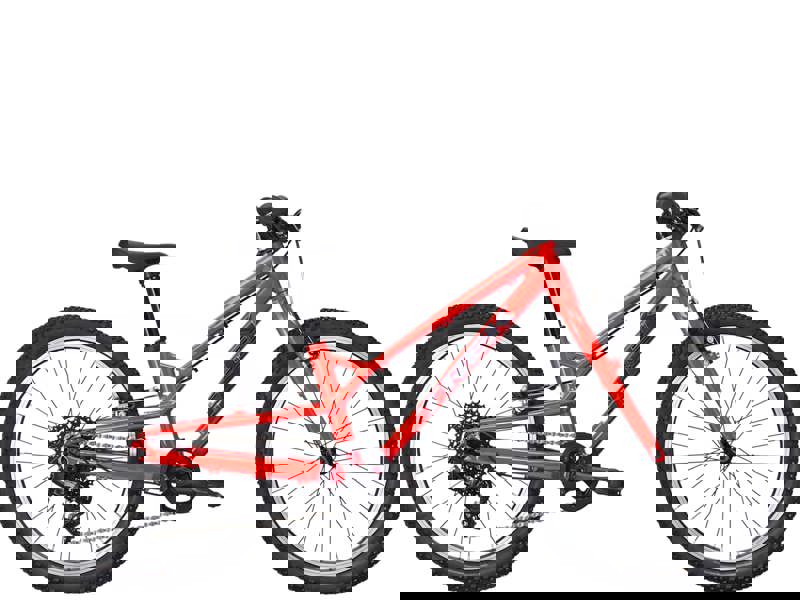 Trek Wahoo 20 Path