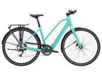 Trek FXPlus2LTStag 24 40491 B Primary